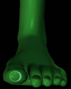 ein transponder am gro&szlig;en zeh